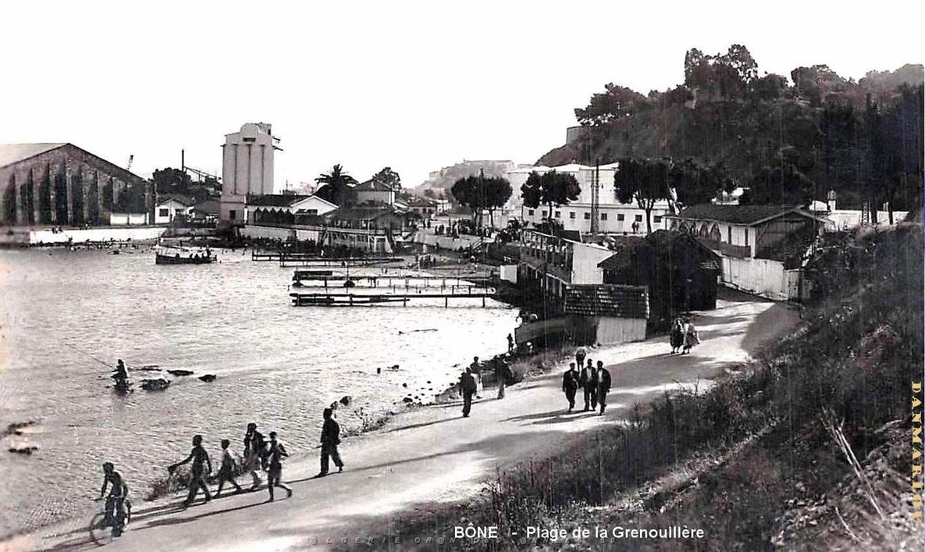 Bone - Plage de la Grenouillere.jpg